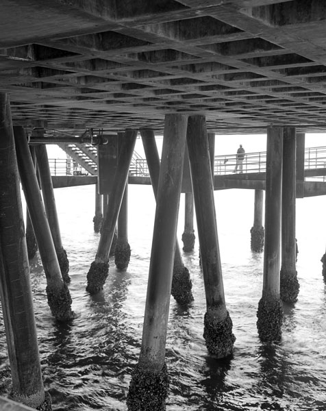 Photo of Santa Monica Pier